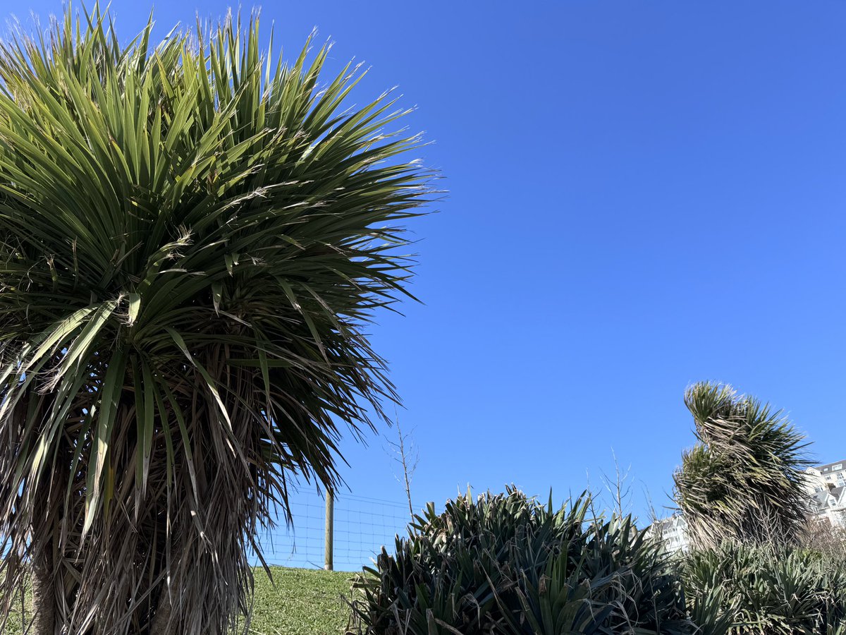 BurtieBrom's tweet photo. It’s been another fine day in Woolacombe 😎 Stanley missed auntie Sue for the second time, but did score a small amount of Enricos🤪 @BeachWoolacombe @WoolacombeTIC #beachlife https://t.co/w8dLAnOFC9