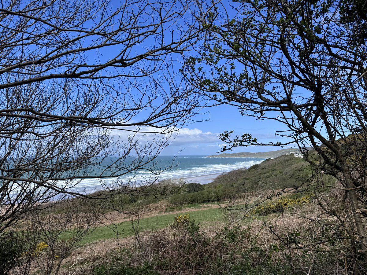 BurtieBrom's tweet photo. It’s been another fine day in Woolacombe 😎 Stanley missed auntie Sue for the second time, but did score a small amount of Enricos🤪 @BeachWoolacombe @WoolacombeTIC #beachlife https://t.co/w8dLAnOFC9