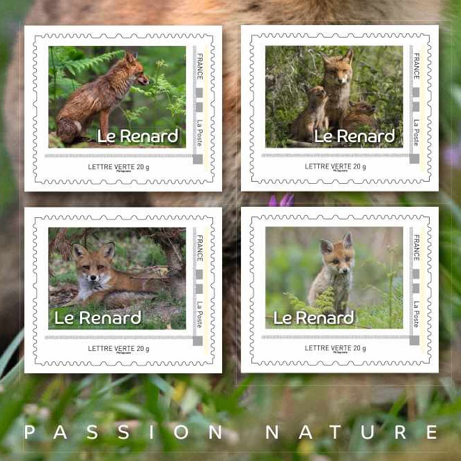 Bravo à @GroupeLaPoste qui édite un collector de 4 timbres à l'effigie des renards, en rappelant leur utilité dans l'écosystème et pour l'agriculture ! > Plus d'infos ici : aspas-nature.org/la-poste-milit… #JaimeLesRenards #PasNuisible