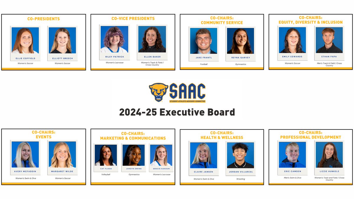 We are excited to officially announce our 2024-25 SAAC E-Board!