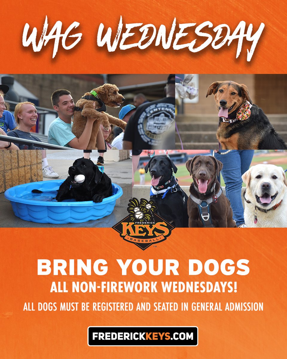 Introducing Wag Wednesdays every non-firework Wednesday all season long 🐾 Includes: 🐾🐾 pregame parade 🐕 🏃postgame owner and dog base run All dogs in attendance must be registered prior to attending and sit in general admission.