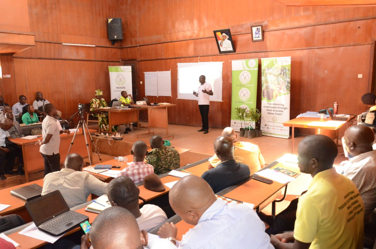 We're conducting a training for 80 agricultural extension & officers, farmers hailing from 15 districts in Western UG. The objective of this training is to empower them with comprehensive knowledge & essential skills in Hass Avocado production. #NAADS #Hassavacado