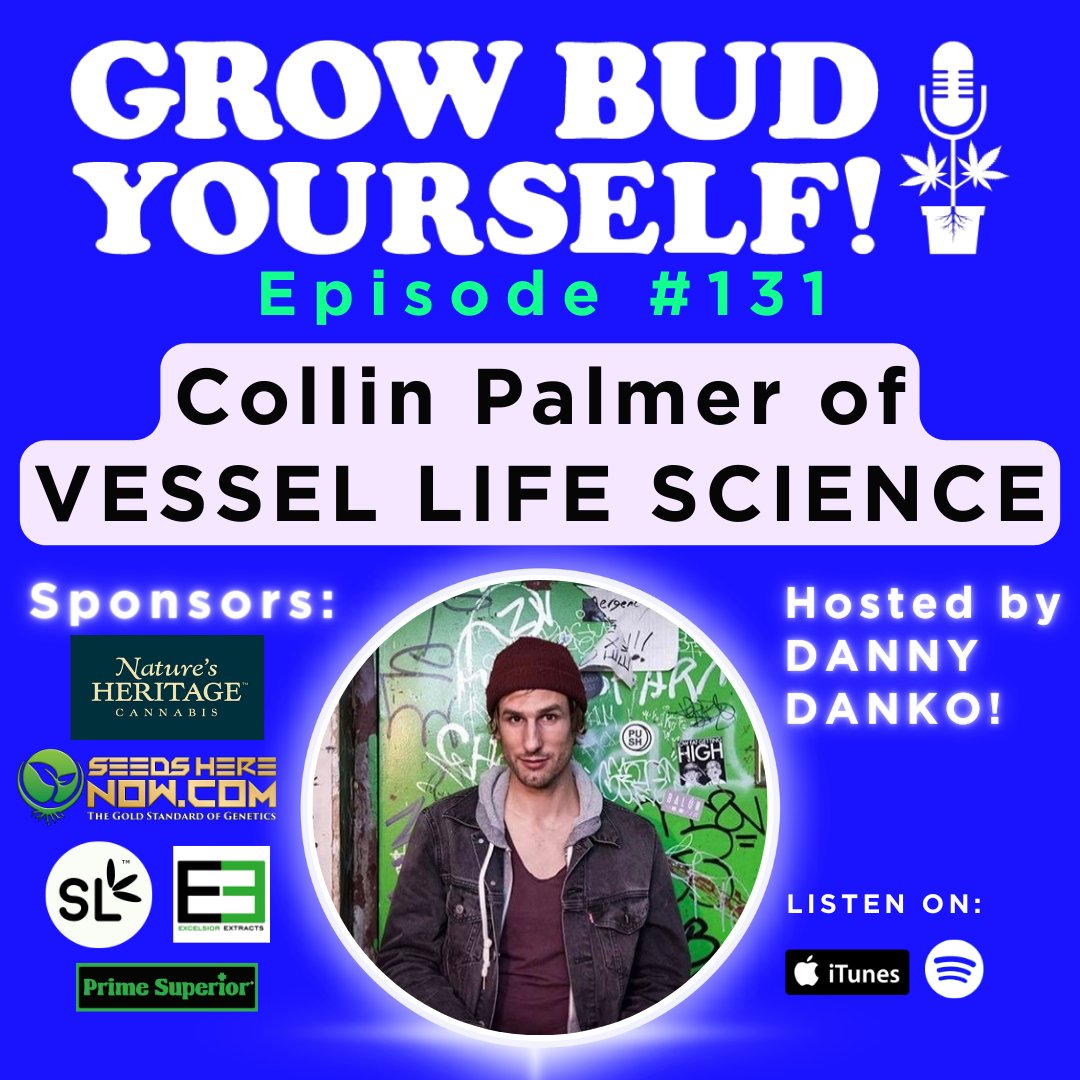 Episode 131 of @growbudyourself podcast features guest Collin Palmer of Vessel Life Science @VesselLabs who reveals the secrets of solventless hash extraction, including genetic selection, cultivation techniques and more. Plus 'Shipping Clones' & Grow Q&A: shows.acast.com/freeweed/episo…