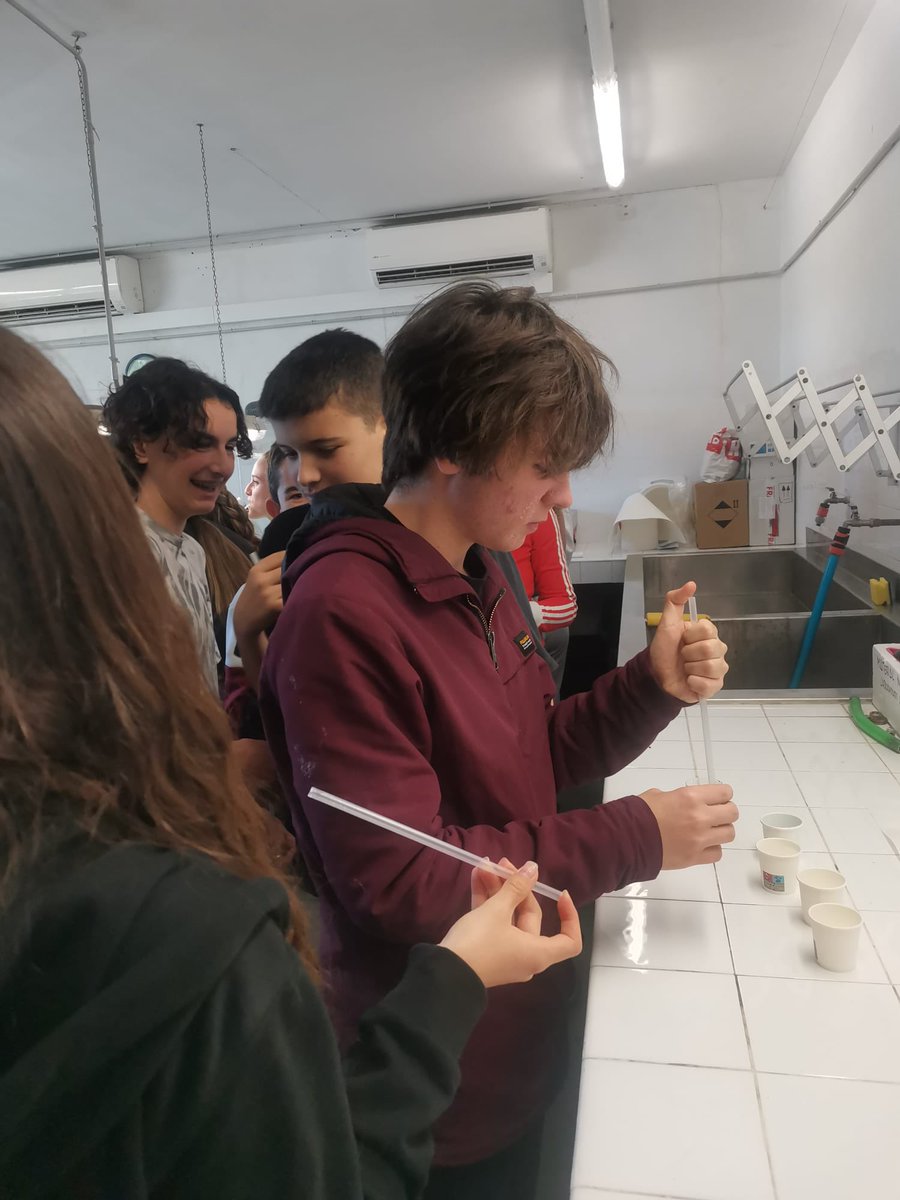 IES Son Rullan tweet media