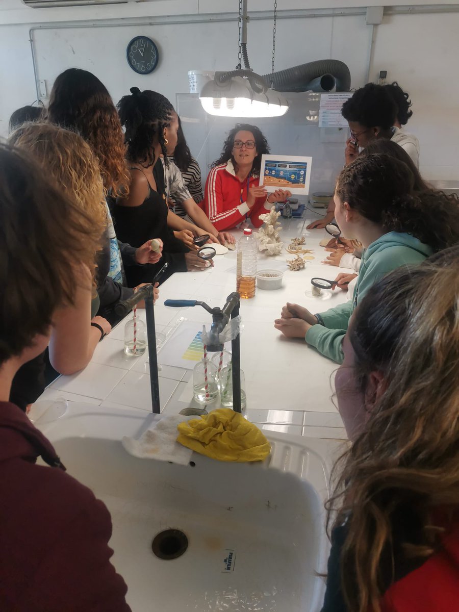 IES Son Rullan tweet media