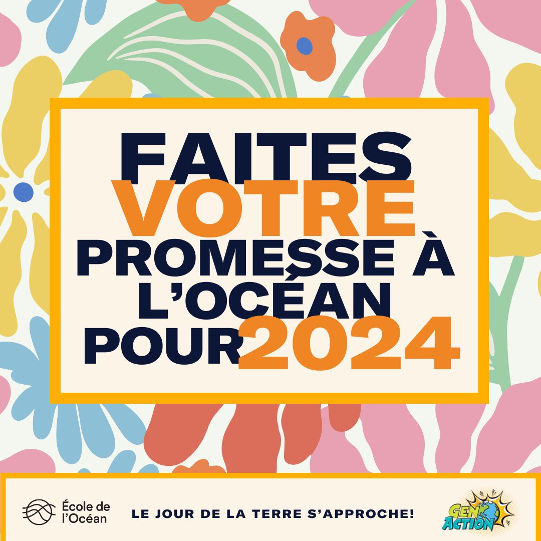 École de l’Océan 🐋 tweet media