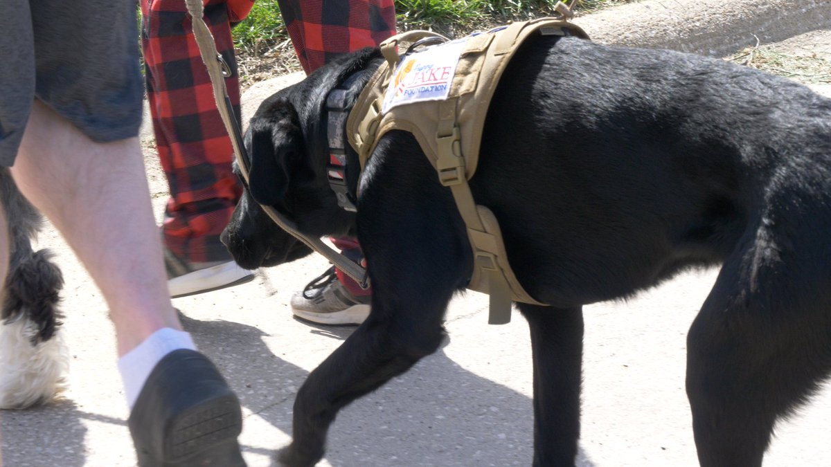 We had a busy weekend capturing the stories of veterans who've received service dogs from the <a href="/puppyjakefdn/">Puppy Jake Foundation</a>. We LOVE working with PJF and the heroes they support. Look for updates as get closer to announcing a release date.