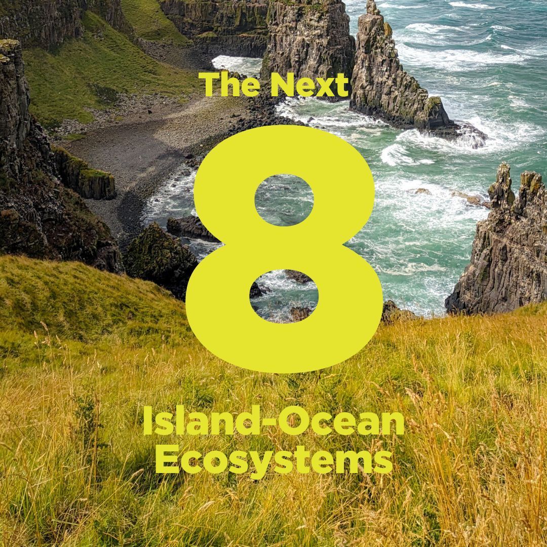 Rathlin has joined the international Island-Ocean Connection Challenge! Proud to stand with islands doing amazing work for people and wildlife buff.ly/445oQEf @Islandconservation @rewild @scripps_ocean @LIFEprogramme @HeritageFundUK @RathlinIsland @daera_ni @RSPBNI