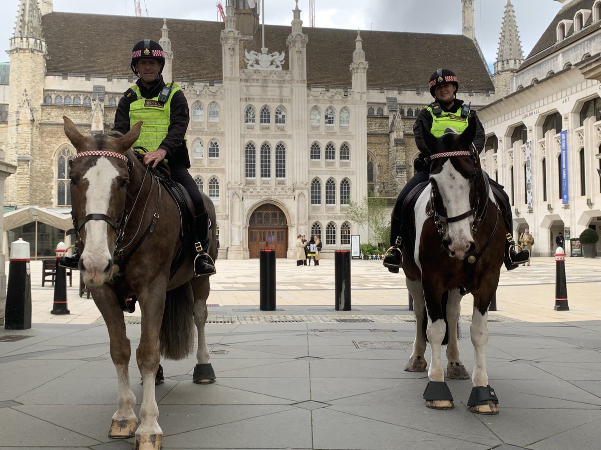 Handsome pair, Trug and George on patrol at the Guildhall earlier today. @CityHorses @GuildhallArt