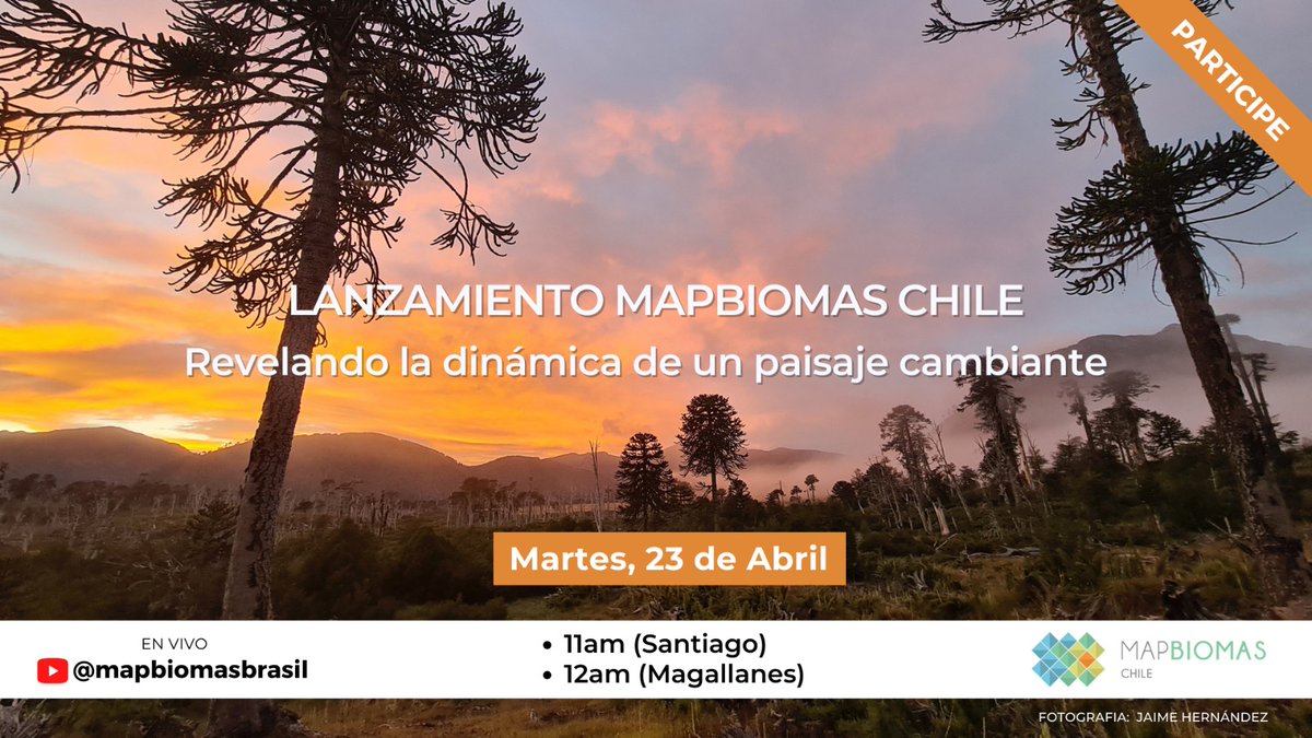 IForestalUChile's tweet photo. 📌#MapBiomasChile: Revelando la dinámica de un paisaje cambiante: Lanzamiento de la Colección 1 de mapas anuales de cobertura y uso del suelo (2000-2022)
🗓️23/4 (martes)
⏰11h (Santiago) 12h (Magallanes)
🏢Casa Central de la @uchile
Inscríbete aquí: https://t.co/xsV466z0V4 https://t.co/7cTRAcUX8p