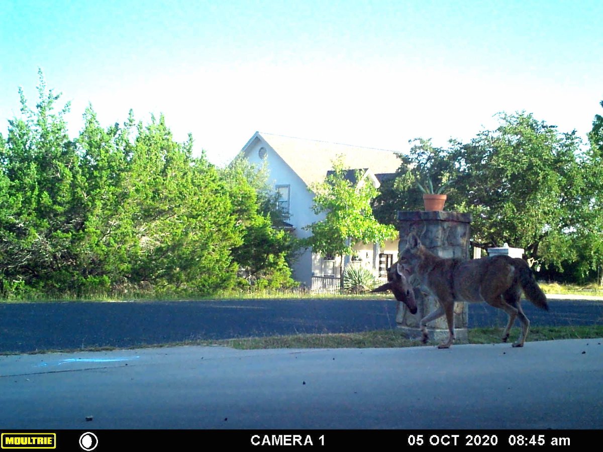 Moultrie Products tweet media