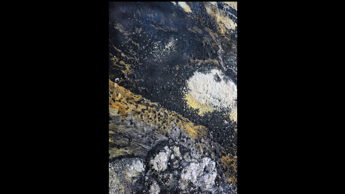 Barnstorm Journal tweet media