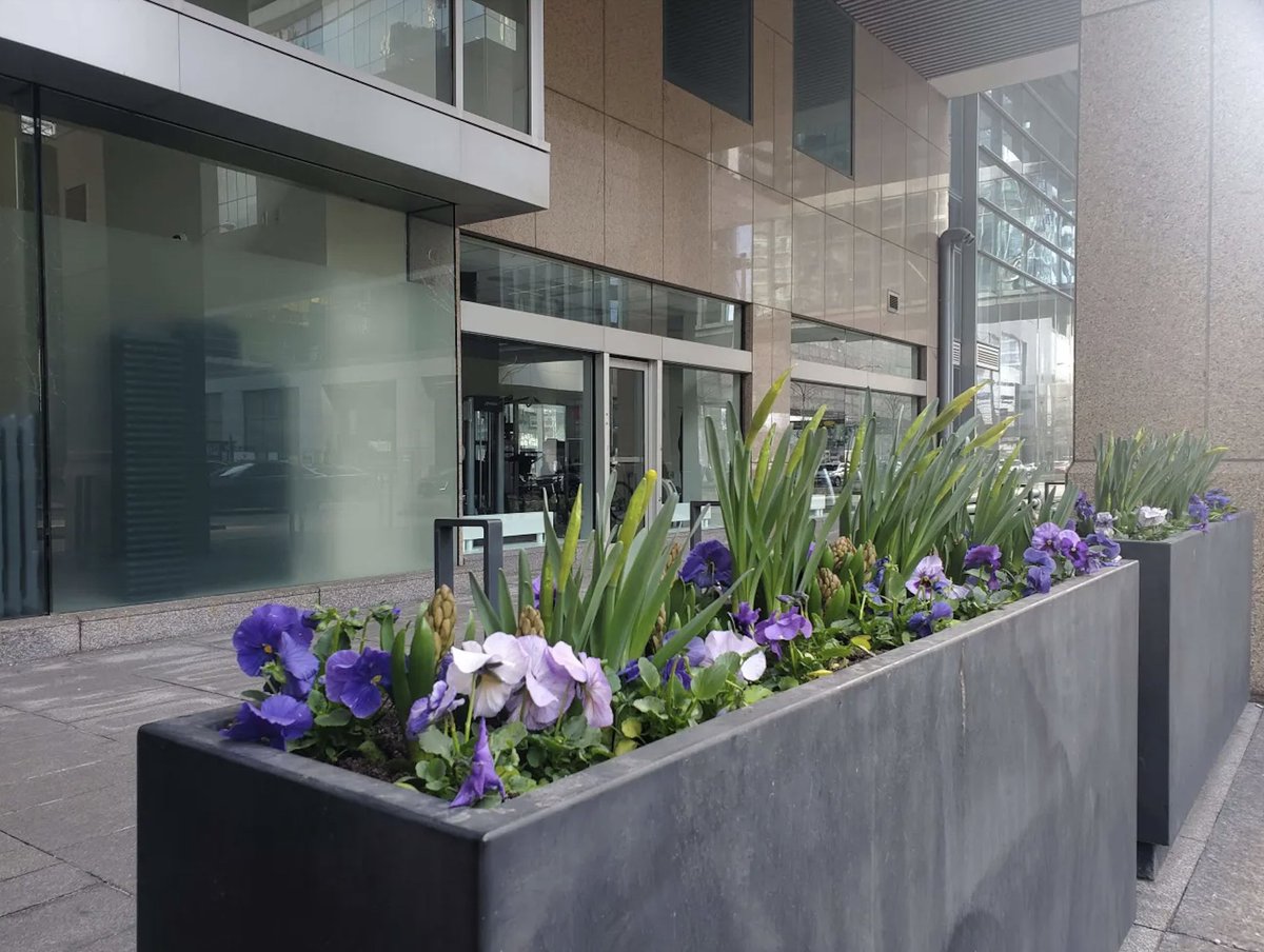 #Business is #blooming at WaterPark Place! It's time to #grow your #business on #Bay #Street. Contact The Rostie Group today! #privateoffice #teamoffice #virtualoffice #meetingrooms #catering #towaterfront #itsbetterbythewater