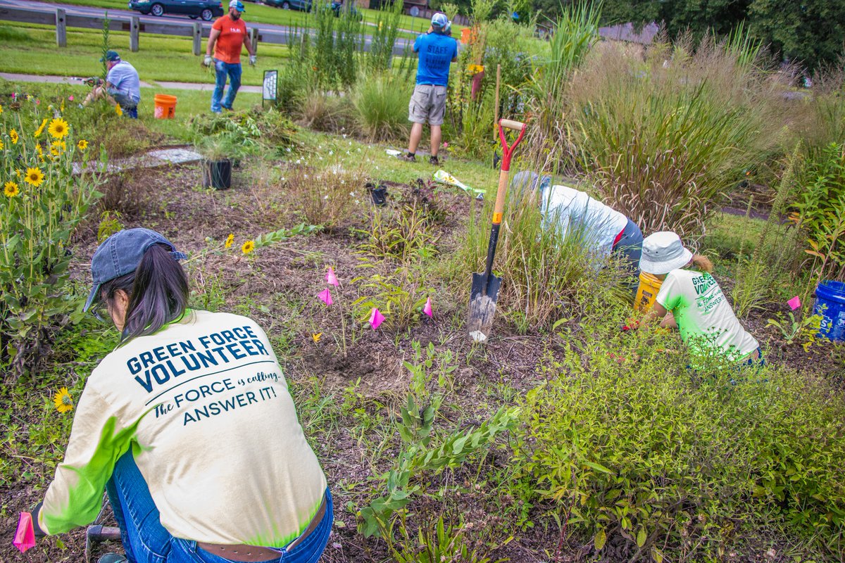 🌻🌿 Join us for a rewarding day of volunteering at Howell Community Park's Gardens on May 11, 9am! Help beautify our pollinator garden and learn about native plants. Let's make our community bloom! 🌱🌼 brec.org/calendar/detai…