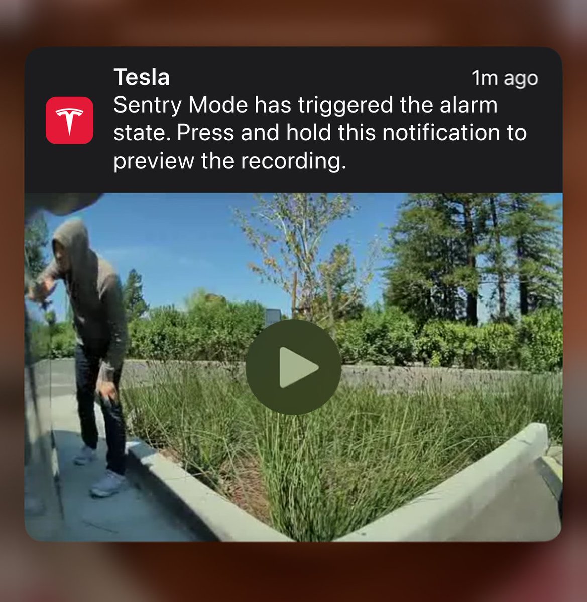 TeslaSoftUpdate tweet picture