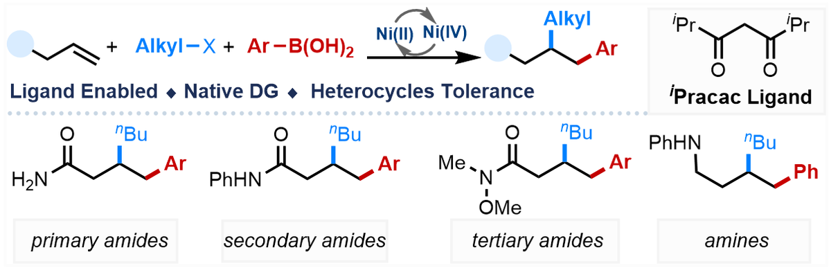 Can Ni(II) act as Pd(II) in oxdative difunctionalization of alkene? Here might be a solution with acac-type ligand. Check out our latest preprint @chemrxiv : Alkene Dicarbofunctionalisationvia High-Valent Nickel Catalysis | ChemRxiv- go.shr.lc/3xA28rU