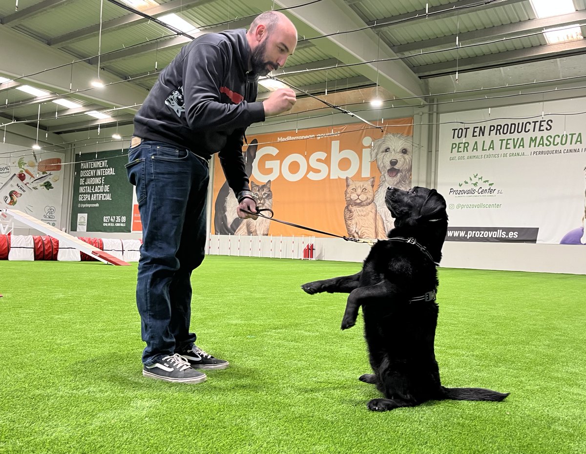 Canlladruc's tweet image. Aquesta setmana oferim un curs de guia caní a Tarragona! 
:) 
¡Esta semana curso de guía canino en Tarragona!
:) 
This week: k9 handler course in Tarragona! 

#k9handlers #guiacanino #guíascaninos #seguridadprivada #lladruc