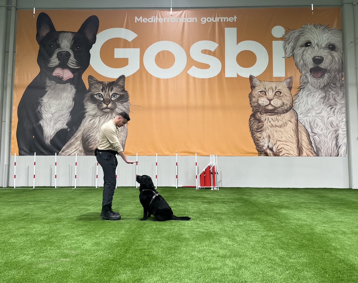 Canlladruc's tweet image. Aquesta setmana oferim un curs de guia caní a Tarragona! 
:) 
¡Esta semana curso de guía canino en Tarragona!
:) 
This week: k9 handler course in Tarragona! 

#k9handlers #guiacanino #guíascaninos #seguridadprivada #lladruc