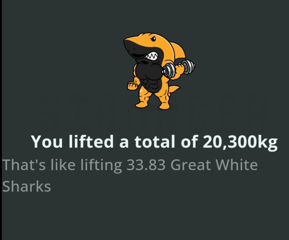 weekerwaffles's tweet photo. Sharks in the #gym 400 reps shoulder & Abs workout #germanvolumetraining #gvt https://t.co/XXt9ITDlAw
