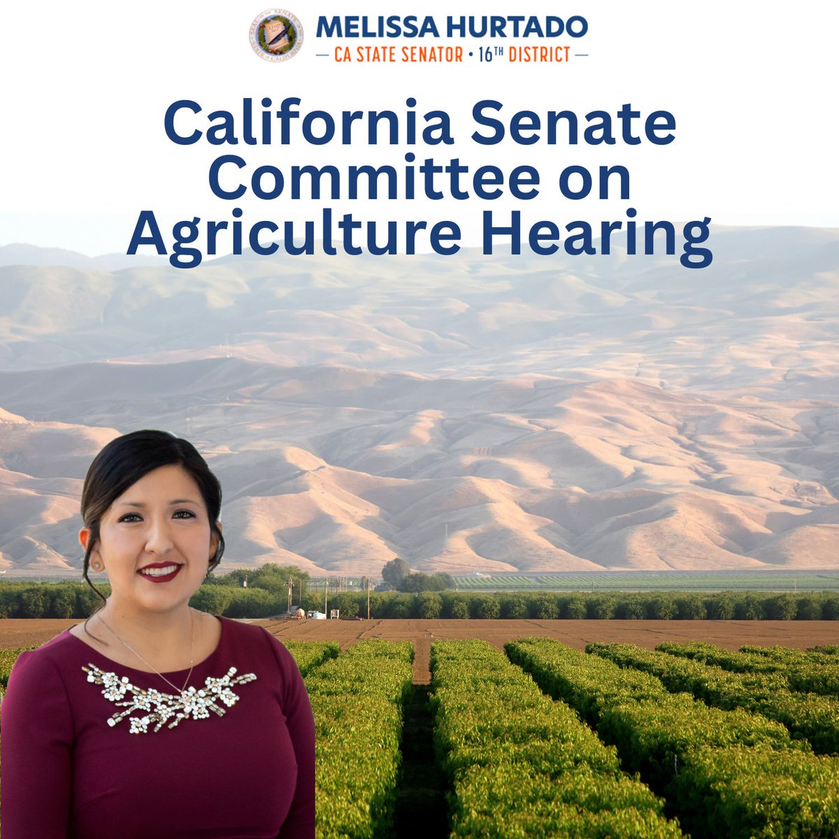 Senator_Hurtado's tweet photo. Follow the #CaLeg Senate Ag hearing this morning as #FoodDeserts, #FarmtoCommunity Hubs & more are discussed. You can view the agenda at https://t.co/bOjeEb2WdD, & the livestream of the hearing at https://t.co/CPcEaN8FNk https://t.co/PSc1kTCgjK