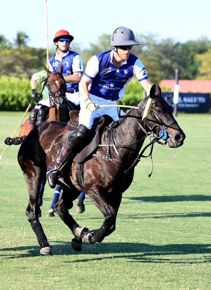 Sentebale's tweet photo. That’s a wrap on the Royal Salute Polo Challenge to benefit Sentebale. A day filled with sun, the spirit of sport and community, we gathered to benefit the work of our organization.
Thank you to our just under 300 attendees, and to our wonderful sponsors and partners @RoyalSalute @FSPalmBeach @USPoloAssnUSA @GrandChampions_