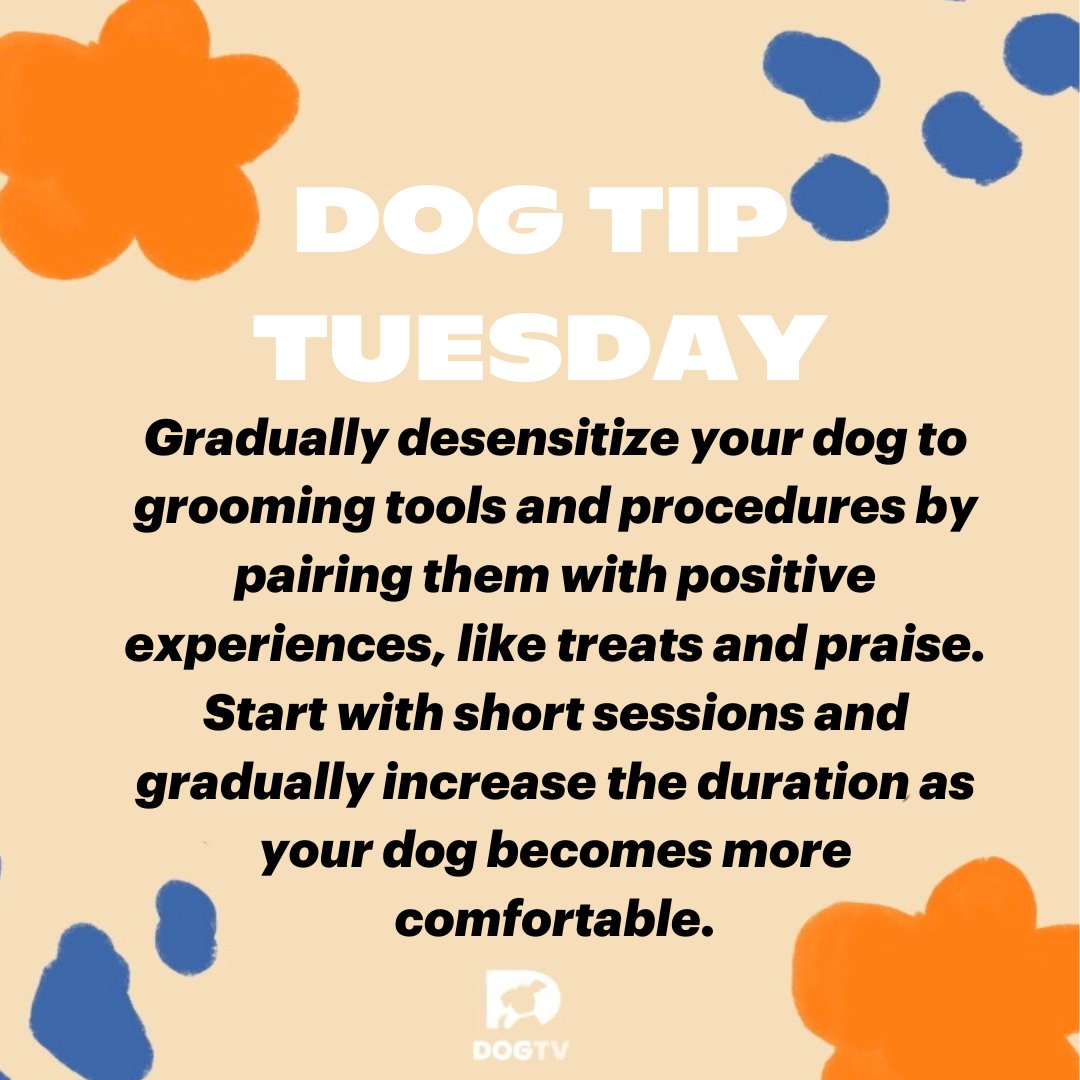 Turn grooming into a paw-sitive🐾experience! Start with small, rewarding sessions and watch your pup grow to love it. Remember, every good behavior deserves a treat!🍖  #FurryFriendGrooming #dogrooming #dogtips #dogtiptuesday #pawhealth #happypaws #petowner #pettips