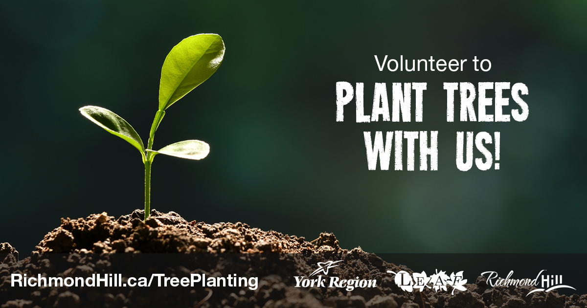 Volunteer to plant trees with us at Timber Mill Park on May 11 or 12 from 1 to 3 p.m. Register at RichmondHill.ca/TreePlanting.