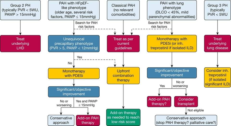 🔴 Managing Pulmonary Arterial Hypertension With Cardiopulmonary Comorbidities #2024Review 

journal.chestnet.org/article/S0012-…
 #medtwitter #cardiotwiteros #Cardiology #cardiovascular #MedEd #paramedic #MedX #CardioEd #CardioTwitter #FOAMed #meded #MedTwitter #cardiotwitter #2024Review