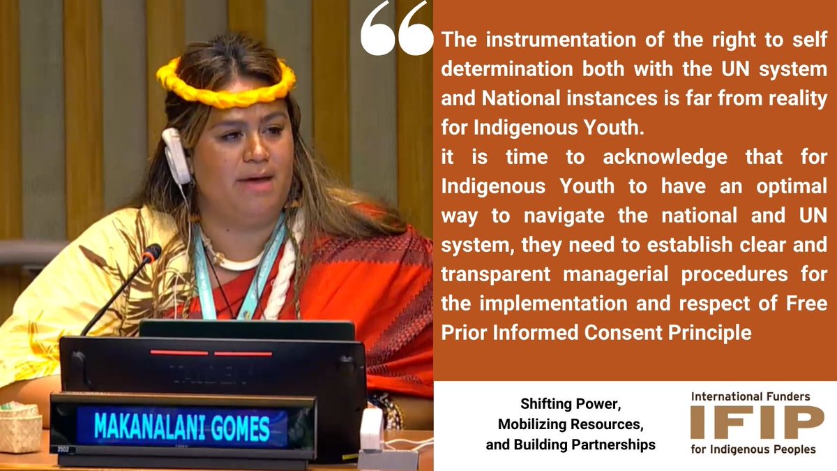 'Indigenous Peoples right to self-determination is collective, they are not individual. We cannot promote self-determination of Indigenous people without strengthening the rights of young people' @DMejia20