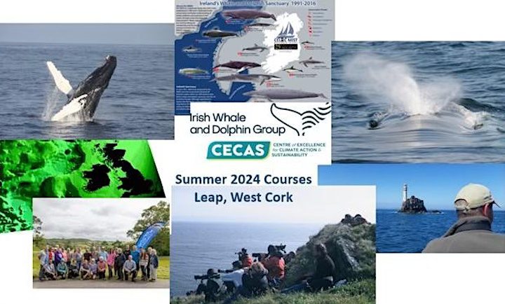 UPCOMING EVENTS: Residential Weekend Whale Watching & Identification Course 🐋 Join IWDG on a weekend whale watching course, comprising indoor presentations, land watches & pelagic trip in search of west Cork's giants. Register at eventbrite.ie/e/residential-…