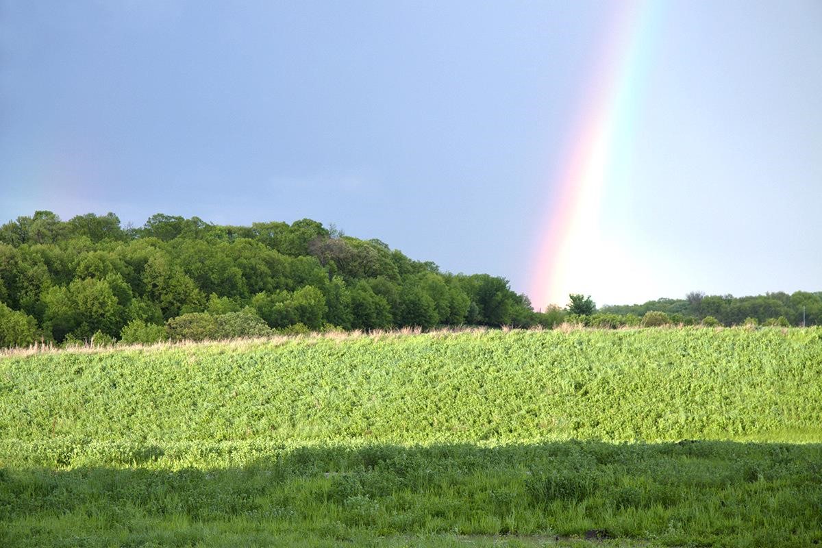 “God’s blessings are always with you. You just need the eyes to see and the ears to hear.” —Sri Harold Klemp, “The Awakening Soul” #ECKANKAR #HaroldKlemp #SpiritualWisdom #SpiritualProtection #DivineLove Photo by John Villemonte