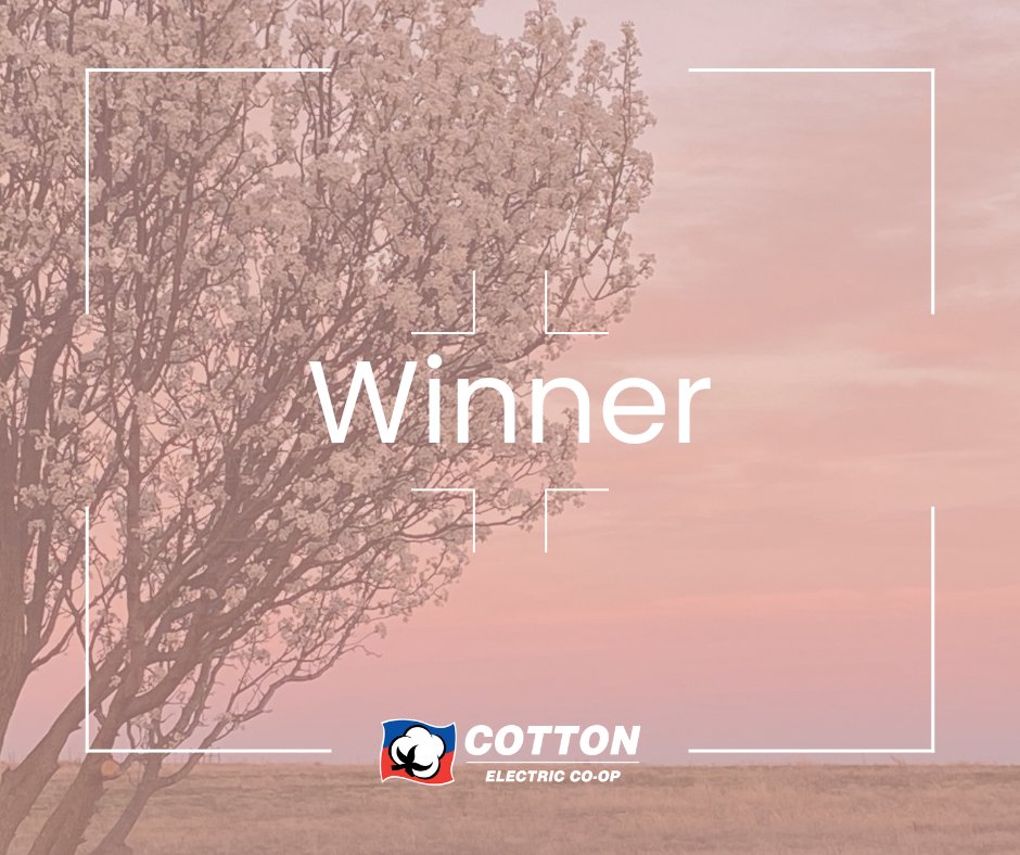 Congratulations to Cotton Electric member Charlene Walker for being our April Photo of the Month winner! This photo was captured on a spring evening near Central High. Congratulations!