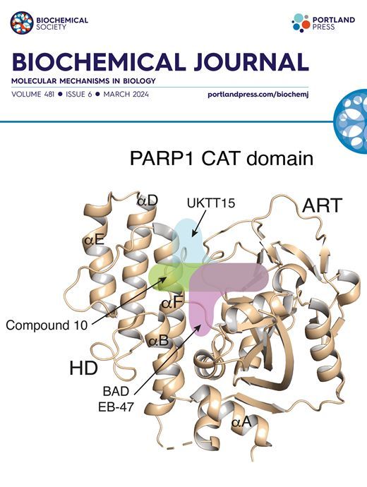 @SBGrid eLife paper has received a citation in March from @labPascal from @UMontreal in @Biochem_journal: Novel modifications of PARP inhibitor veliparib increase PARP1 binding to DNA breaks.

Read more here: buff.ly/3TGUfZ0

#SBGrid #science #structuralbiology