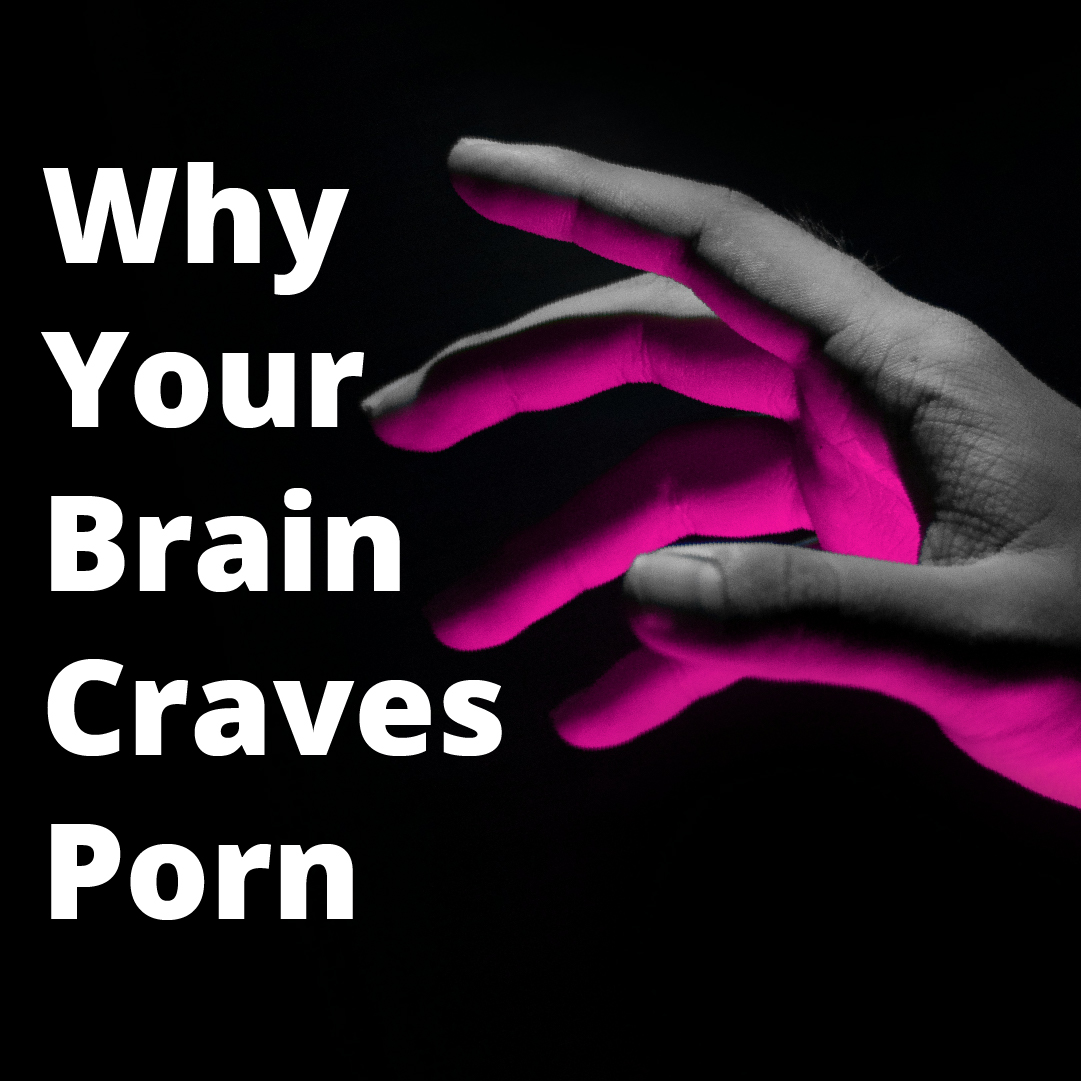 You won't like this, but porn affects the brain. 🧠 It is more than just a problem of sin; pornography acts as a drug that has lasting effects & damages the brain. FREE Course ➡️ cvnteyes.co/3xAPiJV