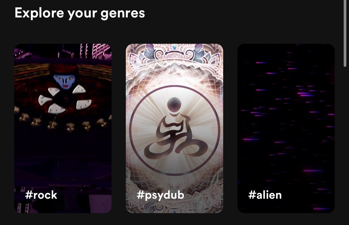 i listened to like 3 songs by Land Switcher now i guess i am a psydub guy