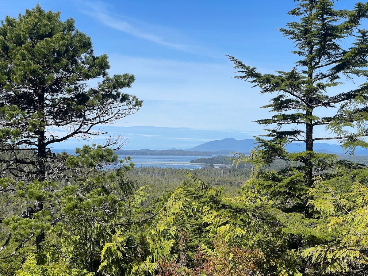 🌎🌊 Join the <a href="/claybiotrust/">Clayoquot Biosphere</a> for their annual biosphere region BioBlitz to celebrate the upcoming Earth Day! 

📅 Saturday, April 20th
📍 On iNaturalist (from anywhere in the biosphere region)

To learn more visit, buff.ly/3vPvkKL