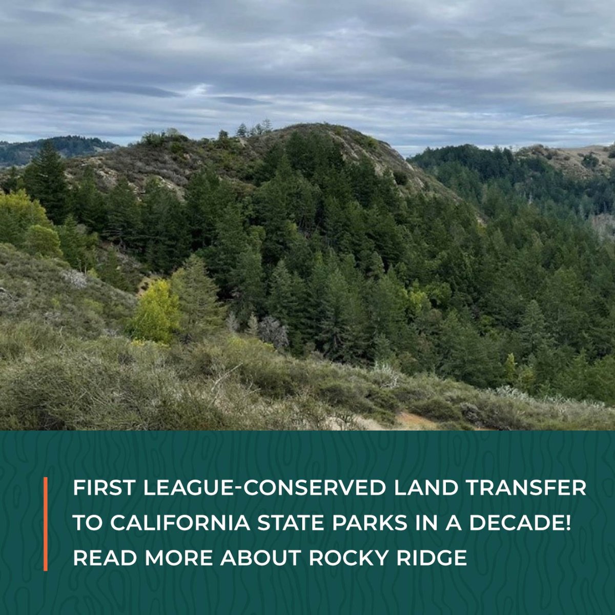 ✨BIG NEWS✨ 1st transfer of League-conserved land to @CAStateParks in over a decade! 💫 The addition of 80-acre Rocky Ridge brings old-growth redwoods, Montgomery Creek headwaters, peregrine falcons, & 360° views to Montgomery Woods SNR in #Mendocino. i.mtr.cool/opxkutfxza