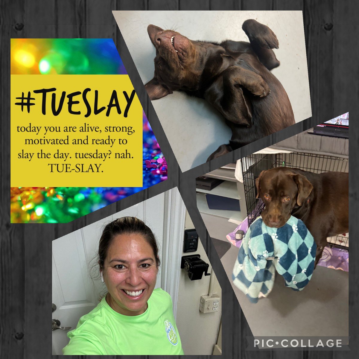 30min cardio with my faithful workout 💪🏼 companions! 🐾🐾 Happy #Tueslay ⚔️ @fit_leaders #FitLeaders #BoycottAverage #LiveBetterLeadBetter @RyanBJackson1 @zjgalvan @GracianRefugio @PrincipalRoRod @DrRenaeBryant @ValChavez2018 @greg_poppy @CoachGoodman @drgrowtoknow 
@oneillgrace