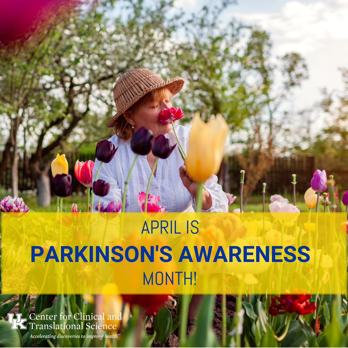 April is #ParkinsonsAwareness Month! 🌷 Researchers at UK's Center for Clinical and Translational Science invite you to participate in a study related to Parkinson’s Disease. Find the study here: ccts.uky.edu/participate-re…