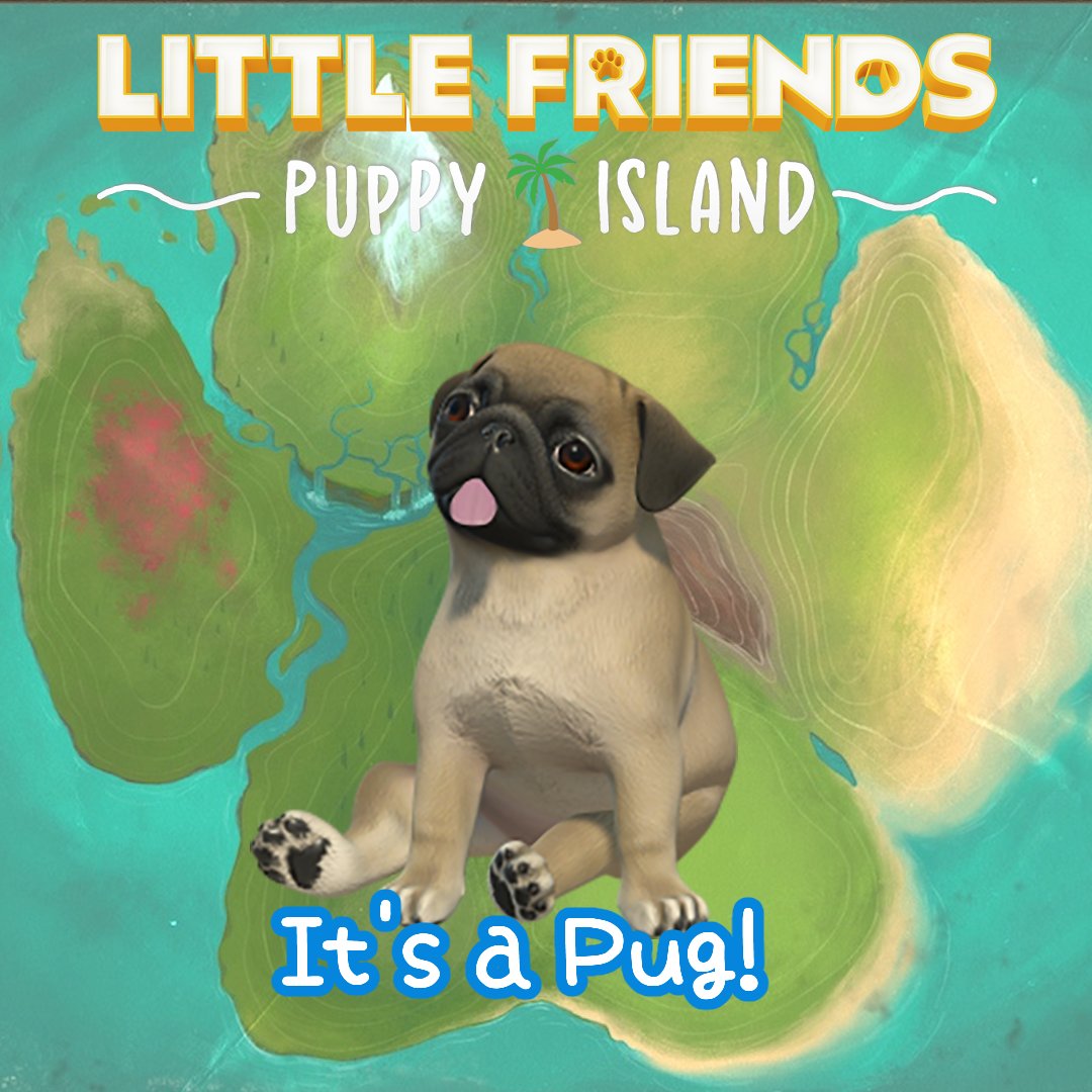 We asked you to guess the puppy yesterday. Congratulations if you guessed Pug! #LittleFriendsPuppyIsland