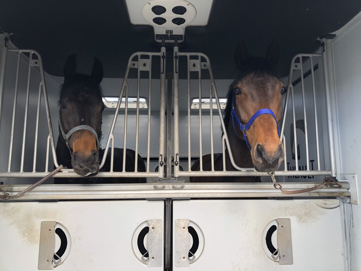 Oriental Prince & Humble Spark left this morning for this evening’s meeting @NewcastleRaces , @PMulrennan rides!