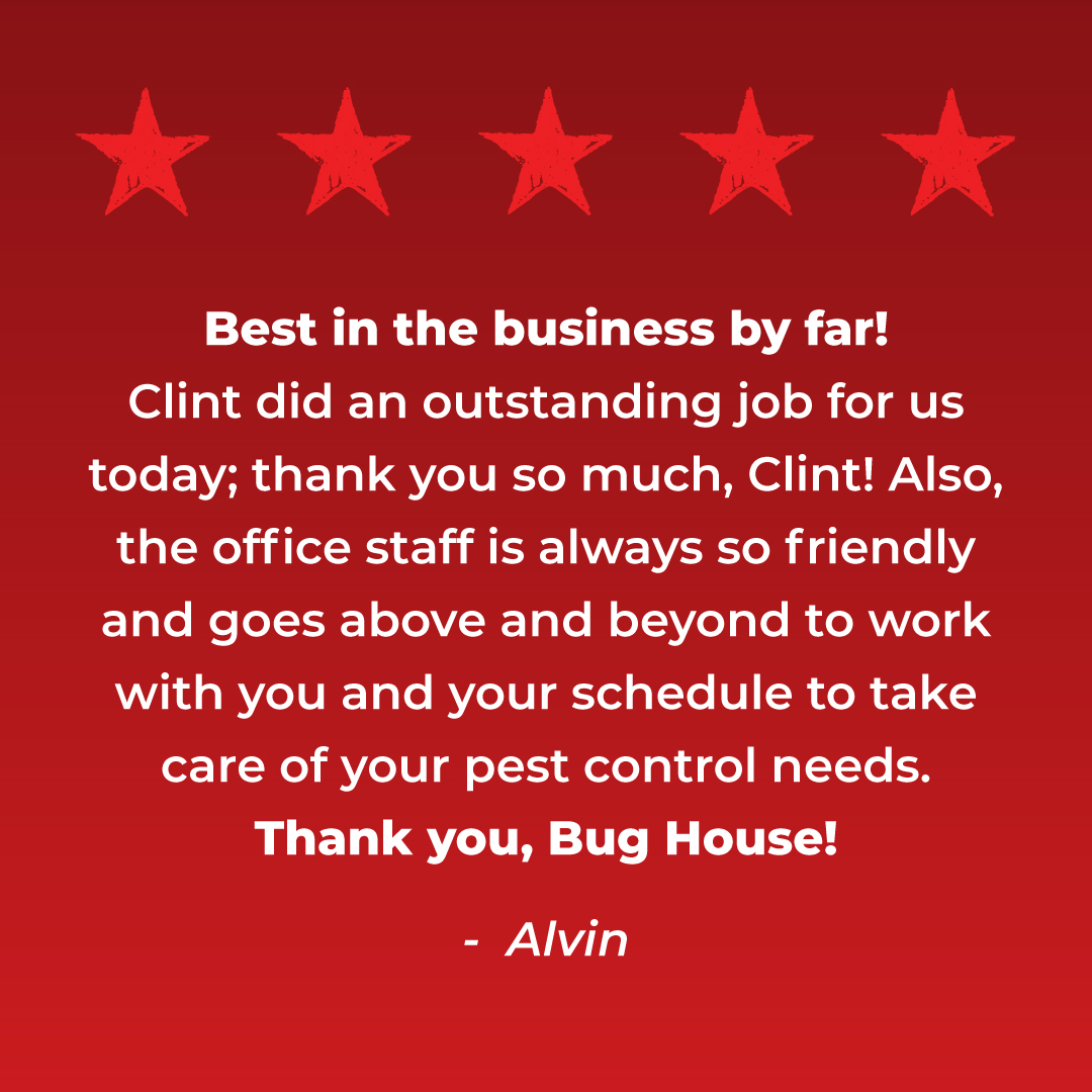BugHousePest's tweet photo. Thank you so much for your kind words about Clint and your review, Alvin! 😄 Everyone's reviews mean so much to us. If you'd like to share your thoughts with us, click here: https://t.co/7OChAq0oKX

#GetTheBugsOut #PestControl #Bugs #Pests #BugTips #Georgia https://t.co/uwbSATTHEf