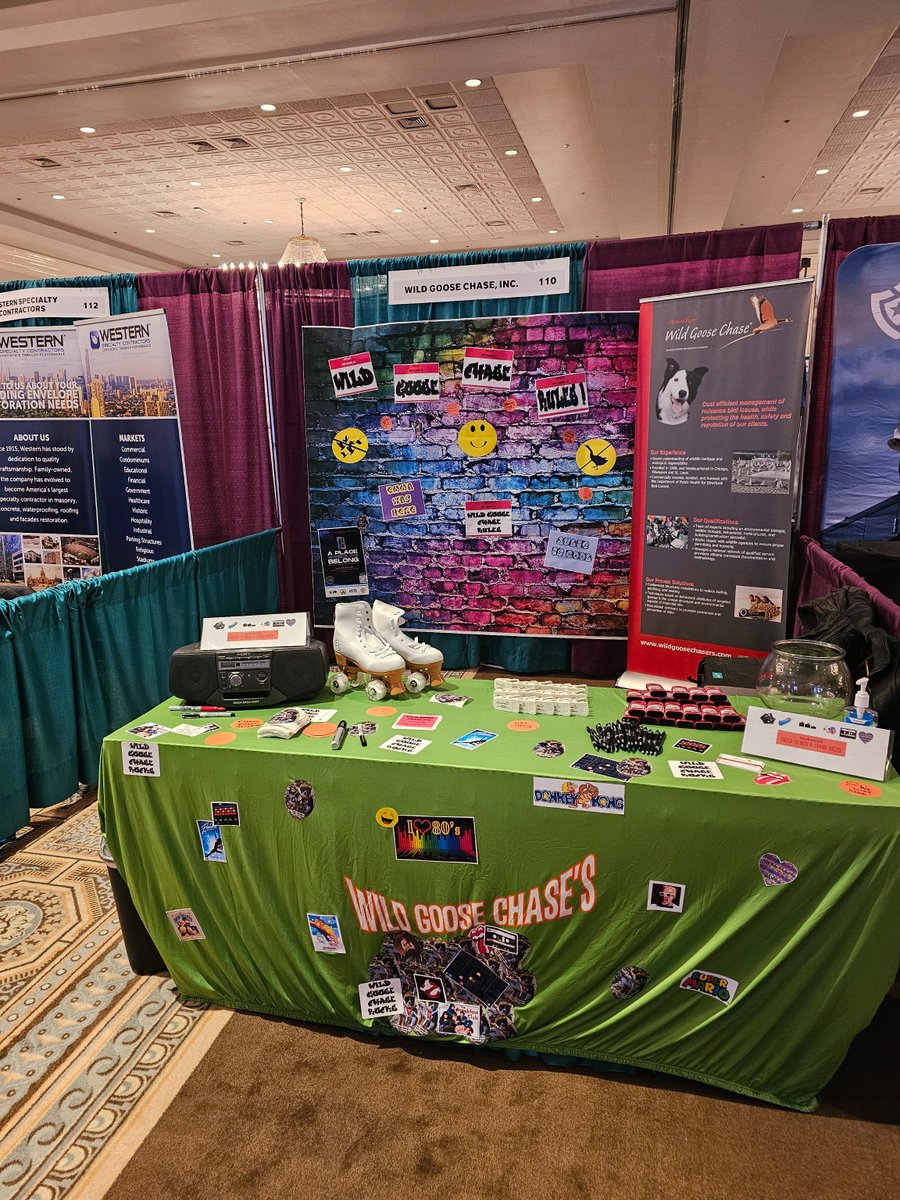 Wild Goose Chase tweet media