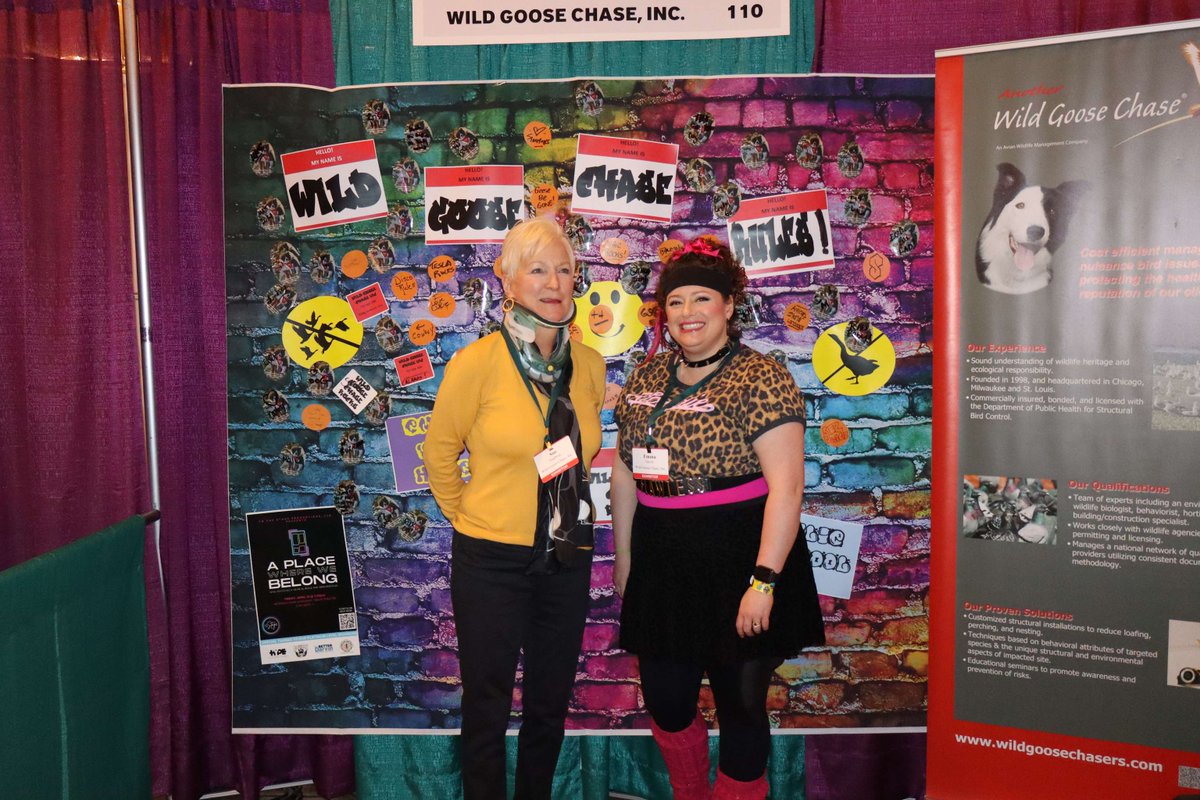 Wild Goose Chase tweet media