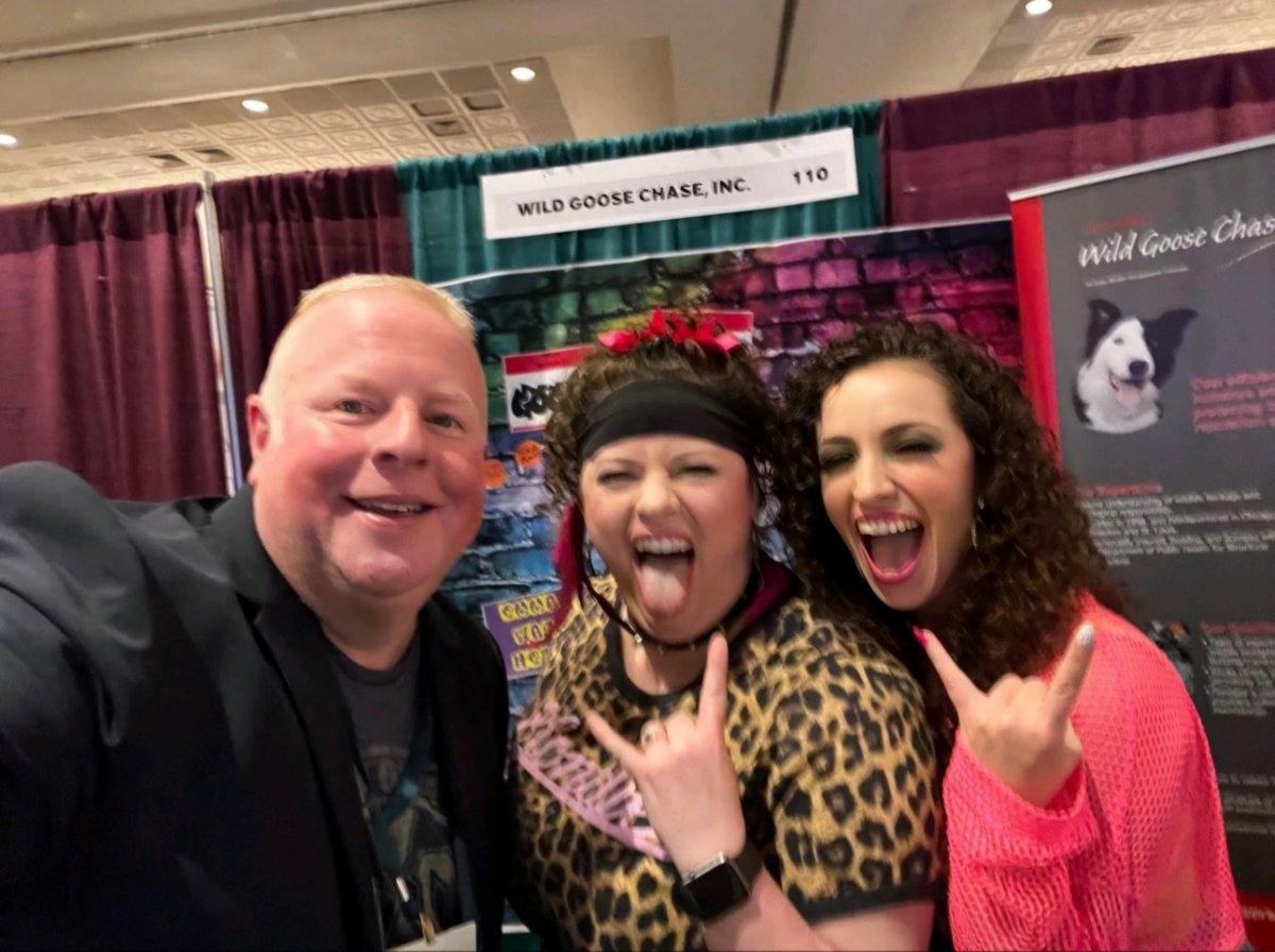 Wild Goose Chase tweet media