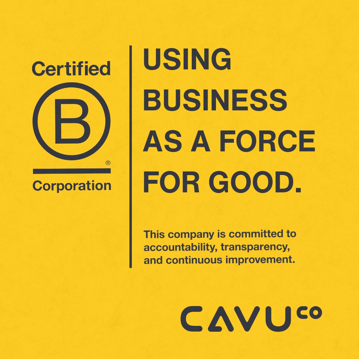 With our recent B-Corp certification, CAVU is not just celebrating a milestone but embarking on a transformative journey. (Keep reading...)

#BCorp #Sustainability #CommunityImpact #EmployeeWellbeing #InclusiveHiring #CAVUCares #FutureOfBusiness