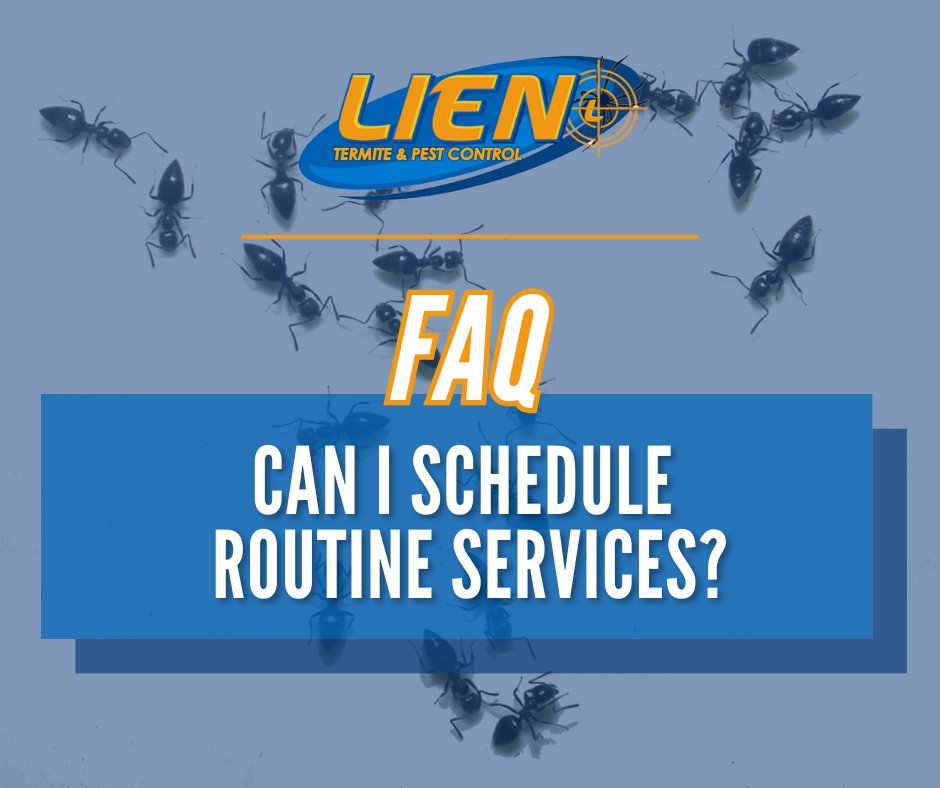 Absolutely! We offer routine service visits to keep your space pest-free. Contact us today! lienpestcontrol.com/contact/
#FAQ #LienPestControlServices #PestSolutions