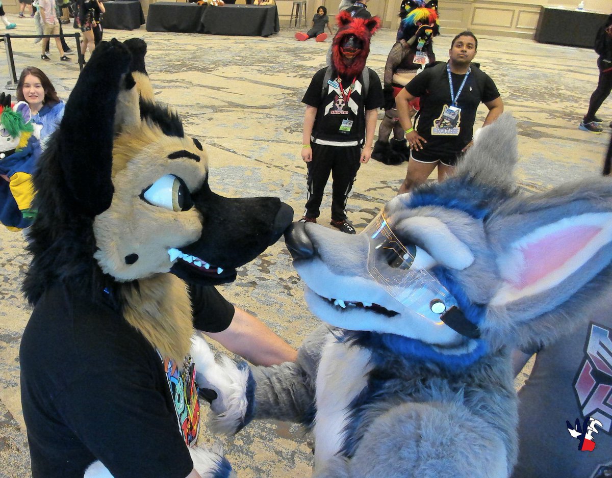 A little nose bump with @Denwolf_ and I at #TFF2024 from that @FurConAI 
You mean the world to me love. I love you so much