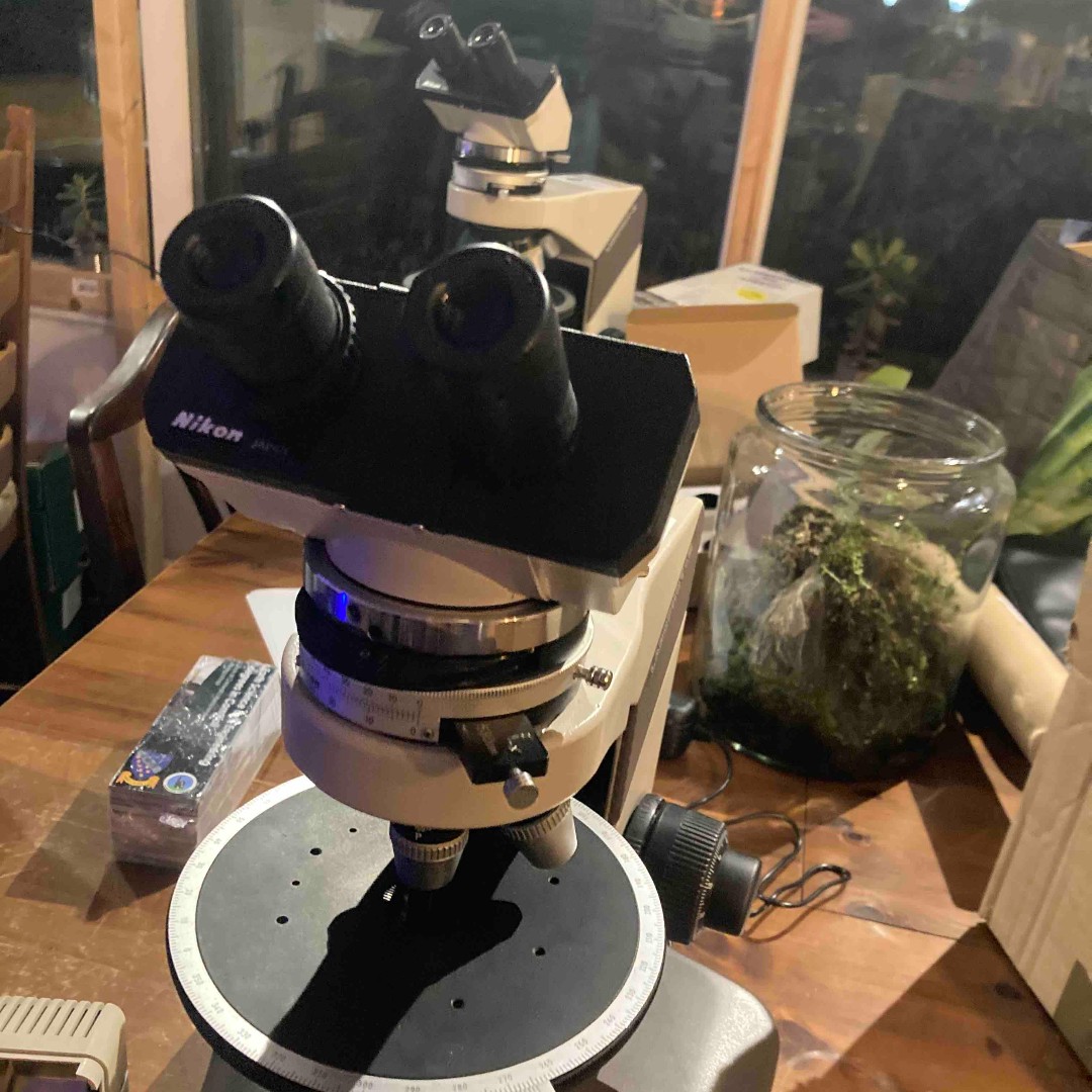 Discovering42 tweet media