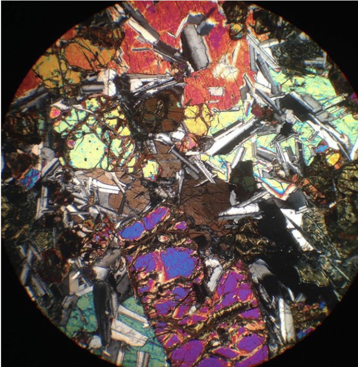 Discovering42 tweet media